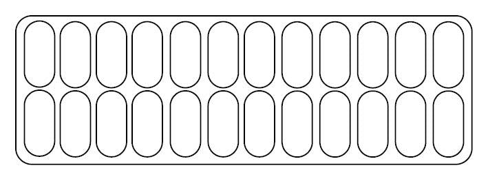 ISA Ice Cream Display 24 x 5L