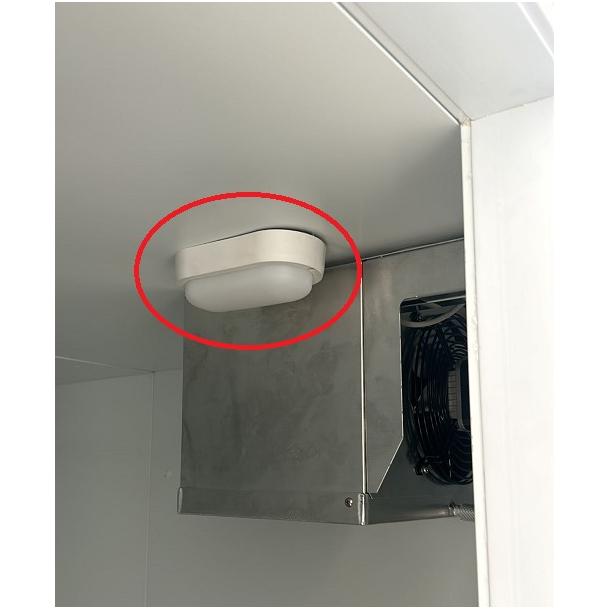 Lamp For Cooling/freezing Cell 7489