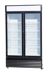 Fridge 2 Glass Doors 750l