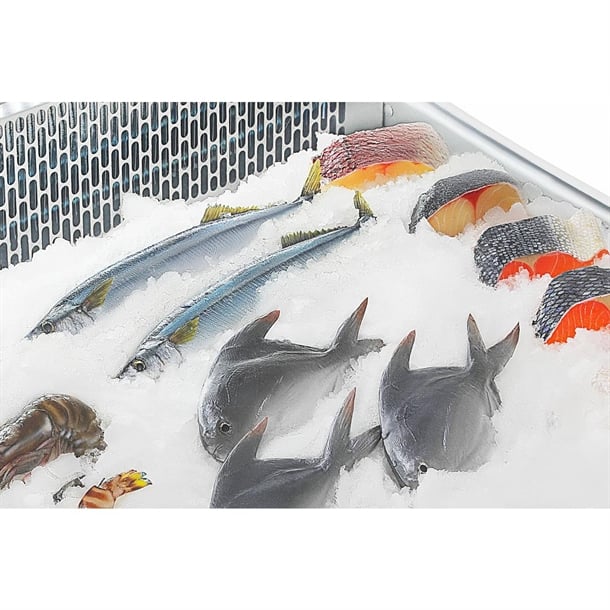 Fresh Fish Display 175Ltr