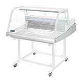 Fresh Fish Display 175Ltr