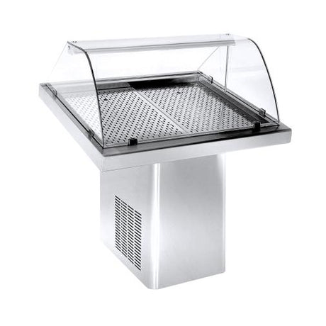 Chilled Fish Serve Over Display 1m
