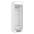 Freezer Cabinet Glass Door 382l Canopy