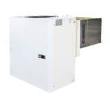 Freezer Wall-Mounted Unit 12.36-18 M